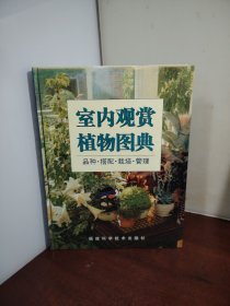 室内观赏植物图典：品种搭配栽培管理
