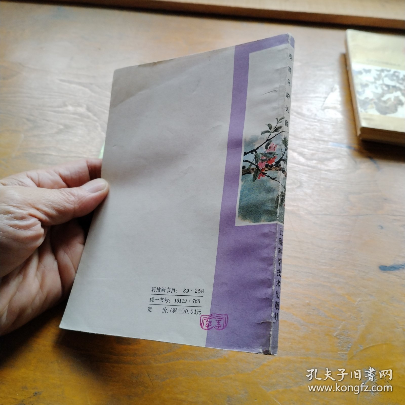 观赏鸟的饲育