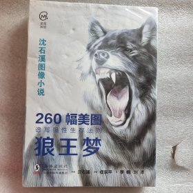 沈石溪图像小说 狼王梦