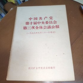 中国共产党第十届中央委员会第三次全体会议公报