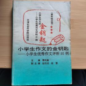 小学生作文的金钥匙——小学生优秀作文评析95例