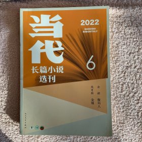 当代：长篇小说选刊2022年第6期sfd