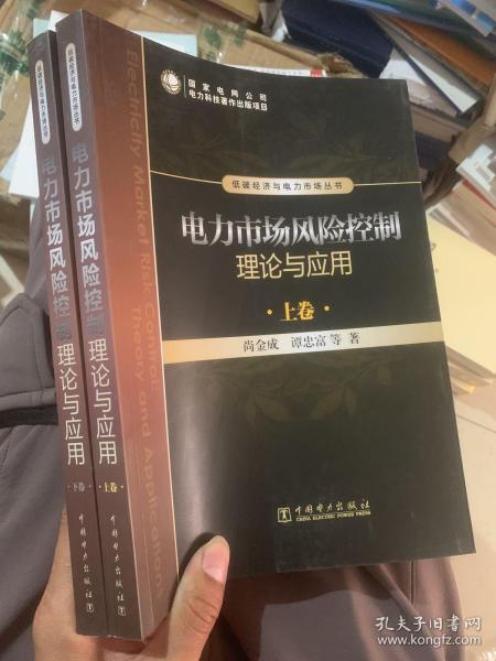 电力市场风险控制理论与应用（上卷、下卷）