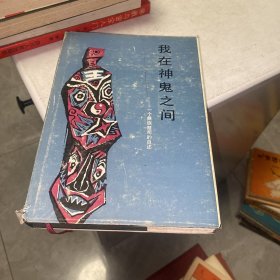 精装  我在神鬼之间：一个彝族祭司的自述