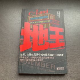 长篇商战小说：地王