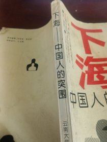 下海一中国人的突围。