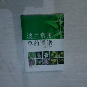 波兰常用草药图谱