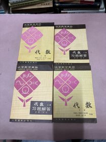 中学数学基础 代数 上下册+习题解答 上下册（共4册合售）