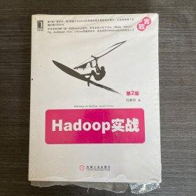 Hadoop实战（第2版）