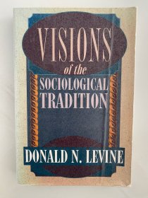 Visions of the Sociological Tradition