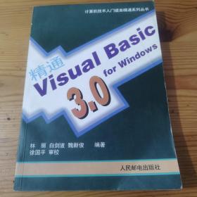 精通Visual basic 3.0 for windows