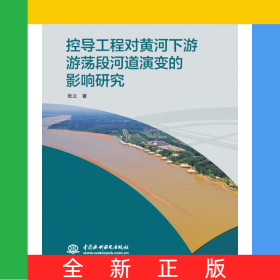 控导工程对黄河下游游荡段河道演变的影响研究