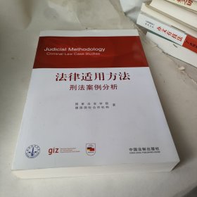 法律适用方法：刑法案例分析