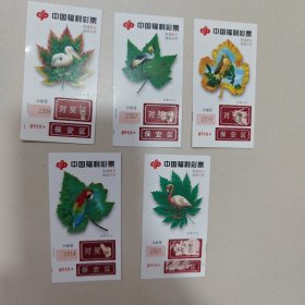 老奖券（老彩票）:中国珍禽福利彩票，如图所示一套5枚合售