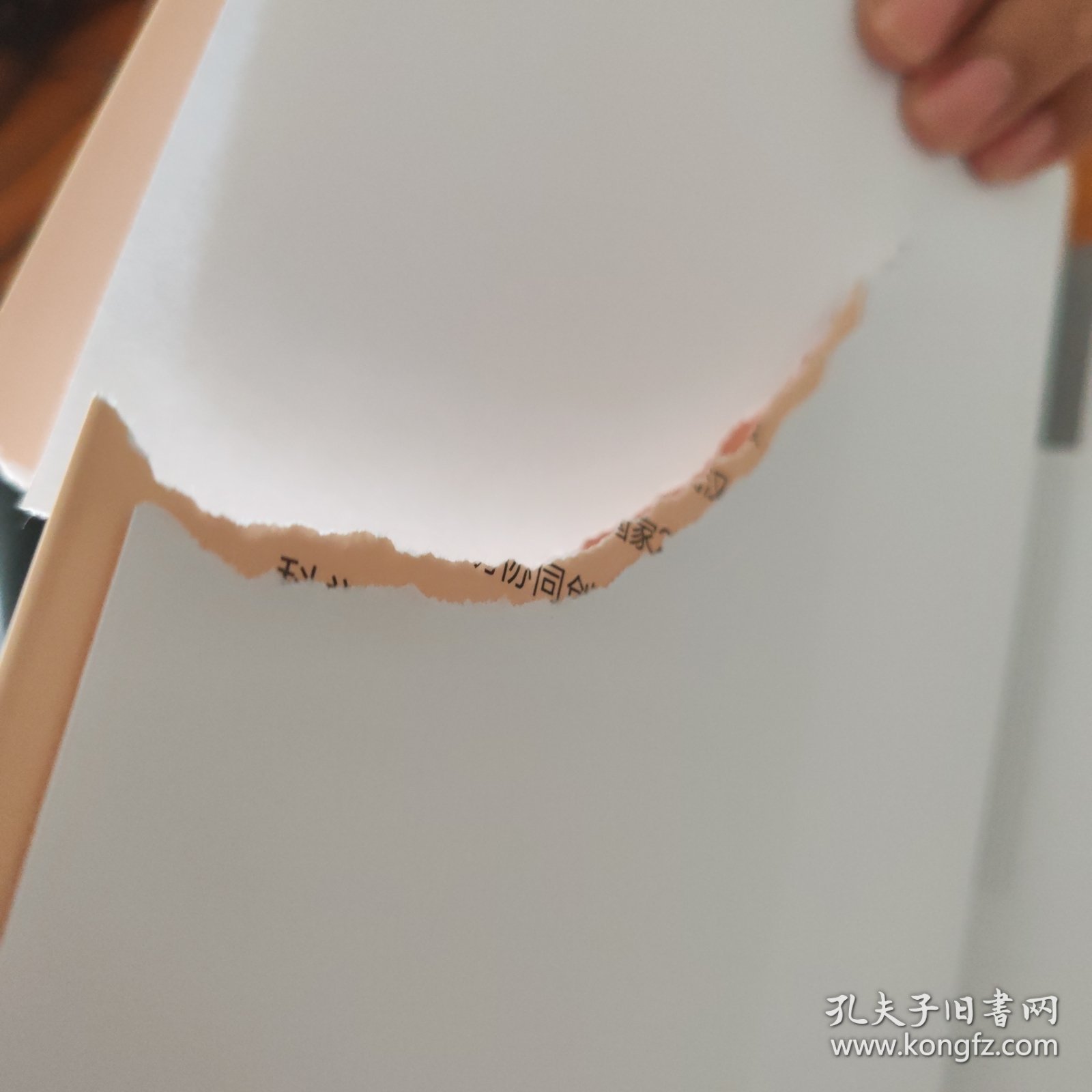 中国监察法学（第2版）