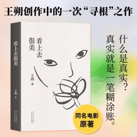 看上去很美 中国现当代文学 王朔