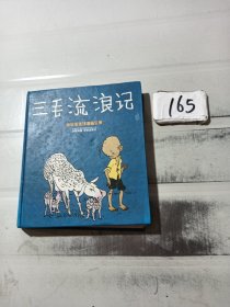 三毛流浪记：世界连环画漫画经典大系