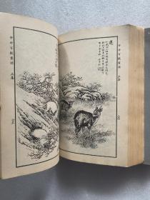 马怡画宝第一集 （人物） 第二集（花鸟走兽）第三集（山水）3本合售