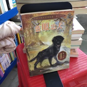 动物小说大王沈石溪 奇幻书系：蓝眼忠犬