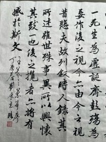 刘展志，男，中共党员，湖北省英山县人，1952年5月出生。现任空军政治部副主任，第十届全国人民代表大会代表，少将军衔。精品！