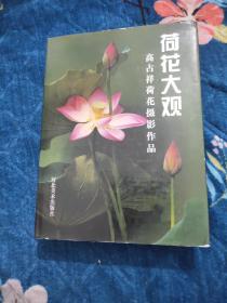 荷花大观:高占祥摄影作品