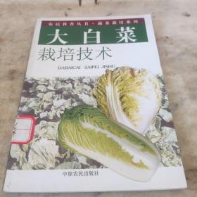 大白菜栽培技术