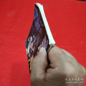 “T3796”号逃犯