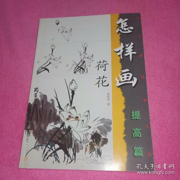 美术爱好者之友：怎样画荷花（提高篇）