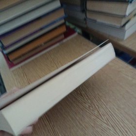 Borkmann's Point : An Inspector Van Veeteren Mystery（几处脱裂）——bb3(dg)