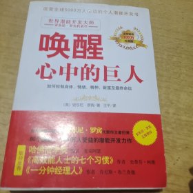 唤醒心中的巨人：如何控制身体、情绪、精神、财富及最终命运