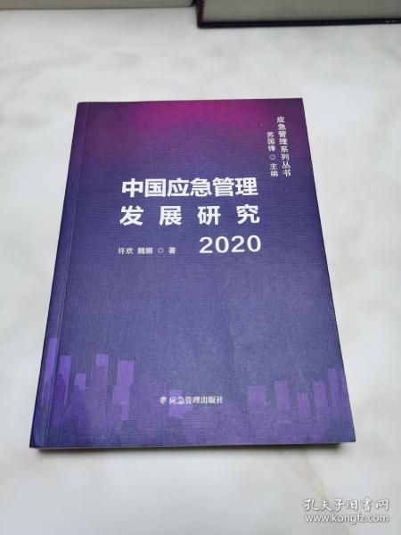 中国应急管理发展研究2020