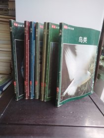 生活自然文库：地球、原始人、海洋、南北极、沙漠、森林、鸟类（7本合售）
