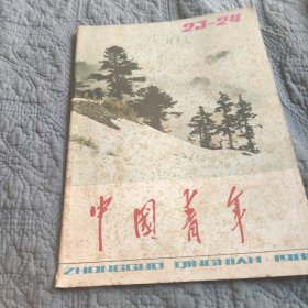 中国青年1981年23-24