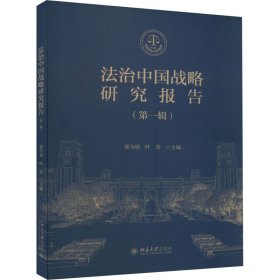 法治中国战略研究报告(辑) 法学理论 作者