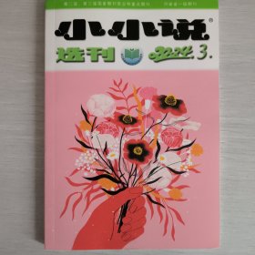 小小说选刊2024年第3期