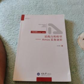 结构方程模型-Amos 实务进阶