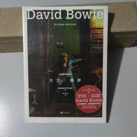 《经典摇滚音乐指南：大卫·鲍伊》：摇滚巨星大卫·鲍伊权威音乐传记，缅怀致敬“摇滚变色龙”的传奇人生。