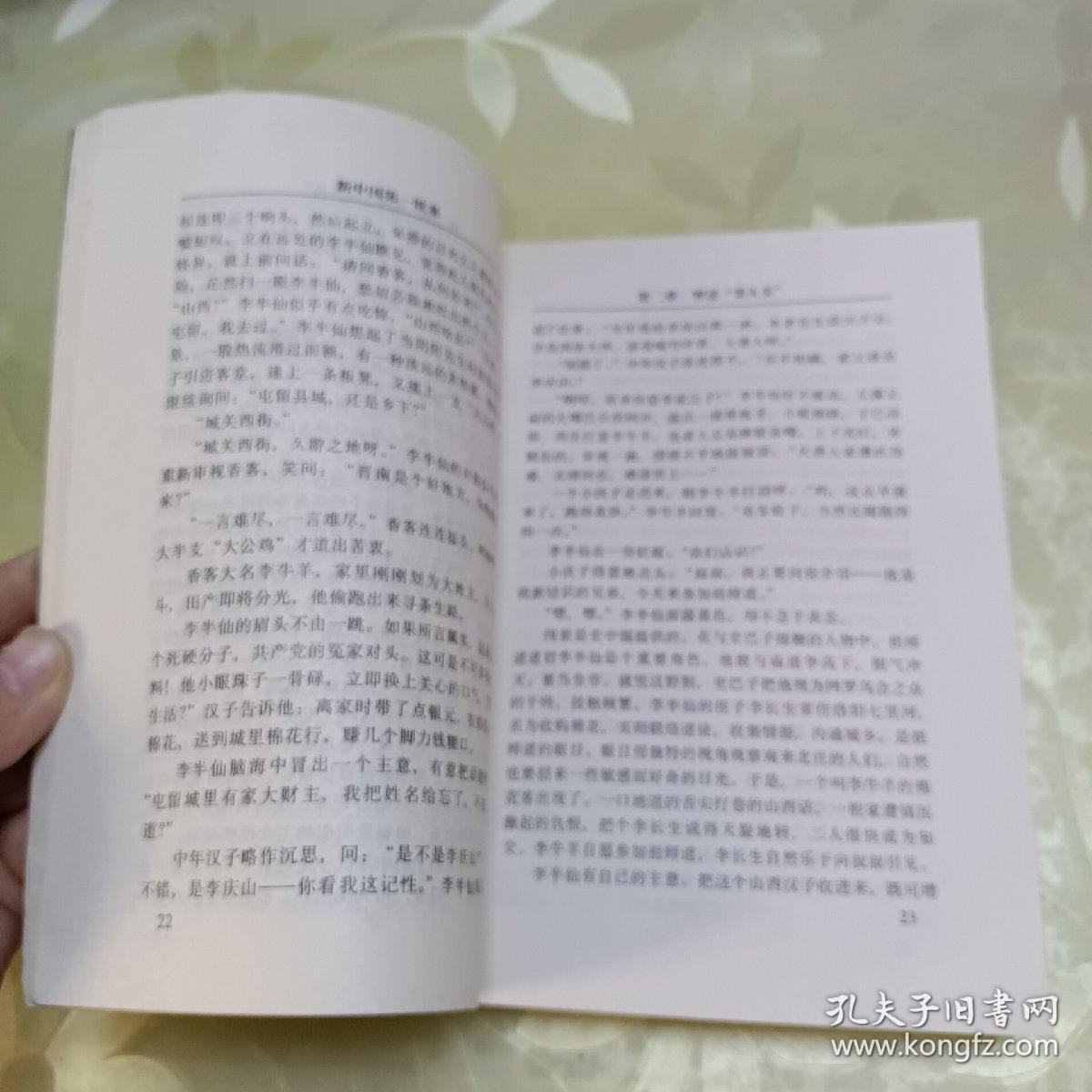 新中国第一匪案:长篇纪实文学。