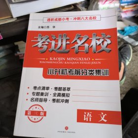 考进名校. 小升初考前分类集训. 语文