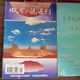 微型小说选刊2000
2
