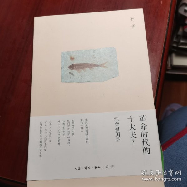 革命时代的士大夫：汪曾祺闲录