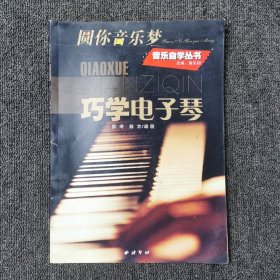 巧学电子琴：圆你音乐梦