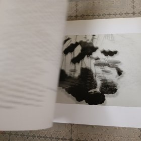 千枝彩荷落清漪