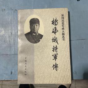 原国民党军政人物丛书・杨虎城将军传
