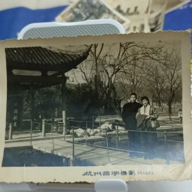 1962年元旦杭州西湖留影老照片
