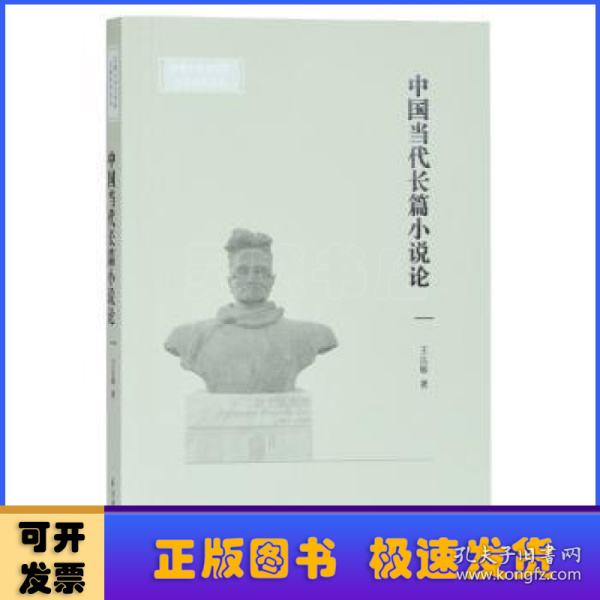 中国当代长篇小说论(安徽大学文学院文典学术论丛)