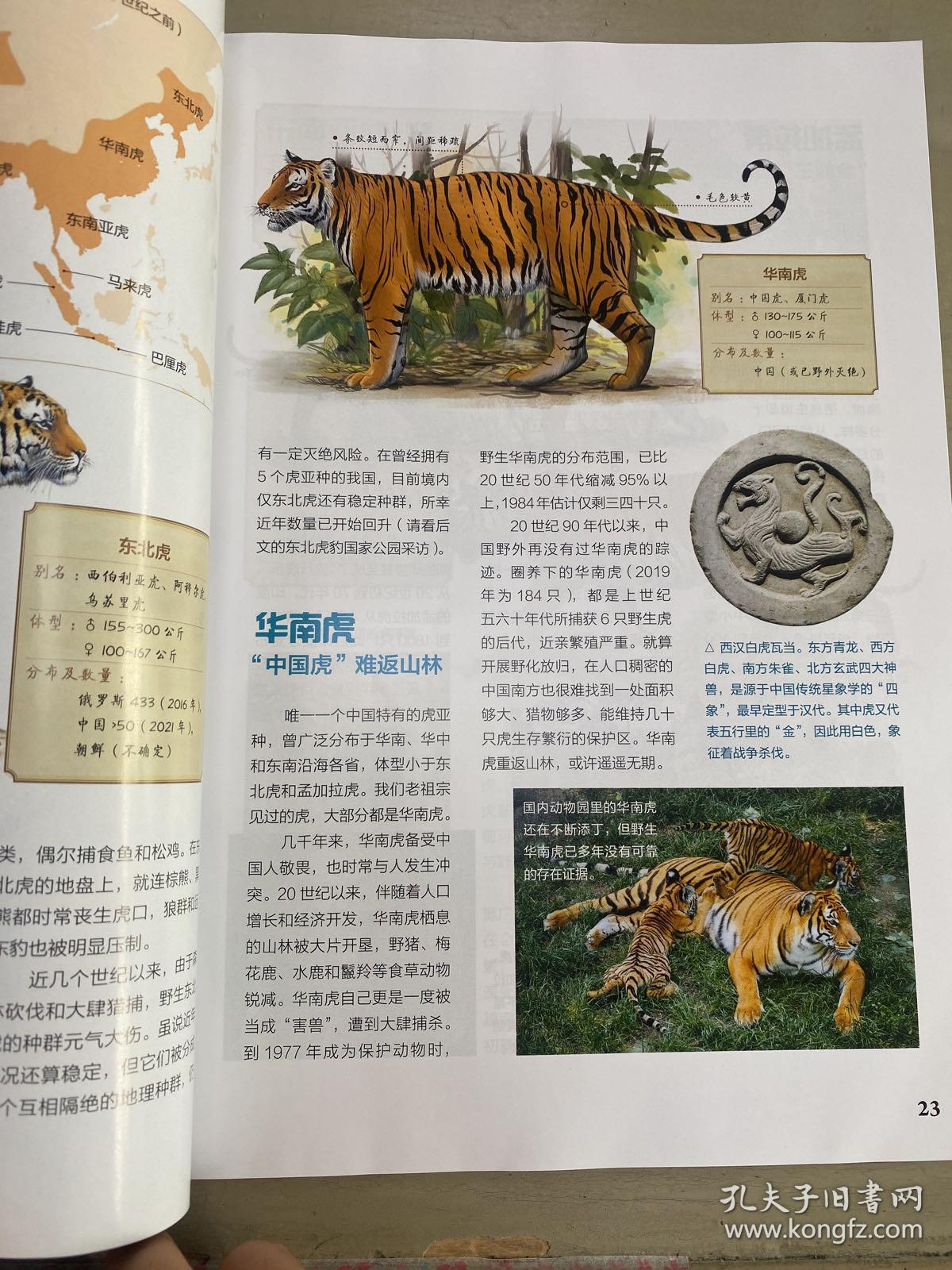 博物，虎的专辑