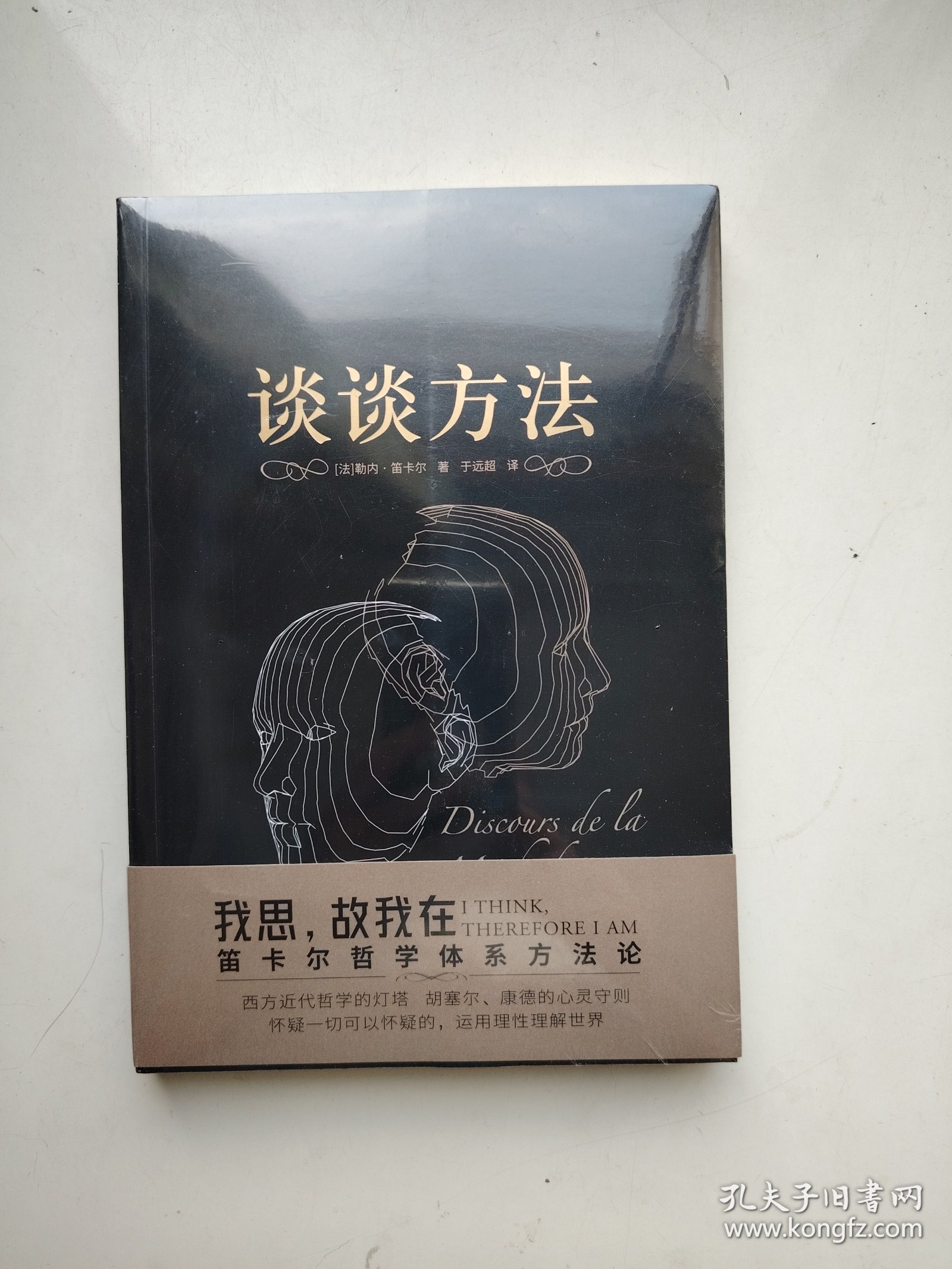 谈谈方法（无删节全译本，笛卡尔哲学体系方法论，现代科学逻辑思考基础，“我思故我在”首次登场！近代哲学的开端）