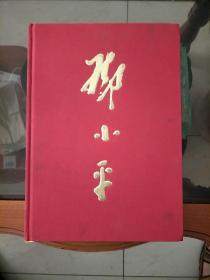 邓小平 画册 中央文献出版社 献给邓小平诞辰100周年