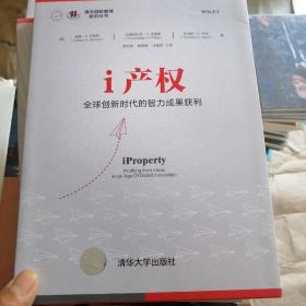 i产权：全球创新时代的智力成果获利（清华创新管理前沿丛书）